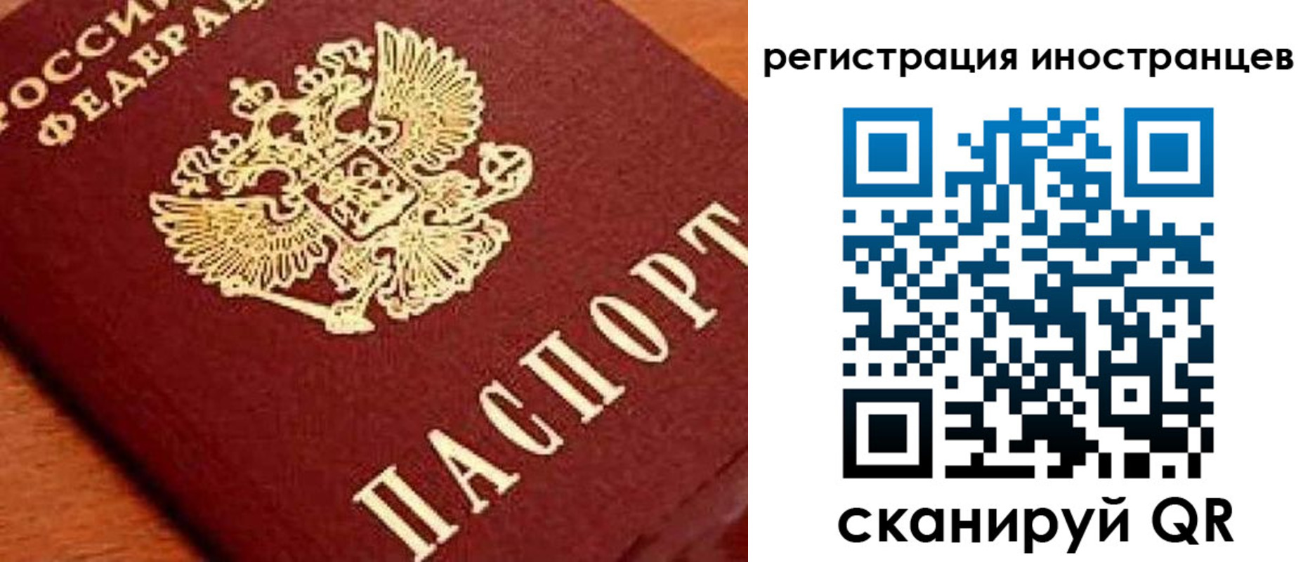 прописка для школы в Сосенском